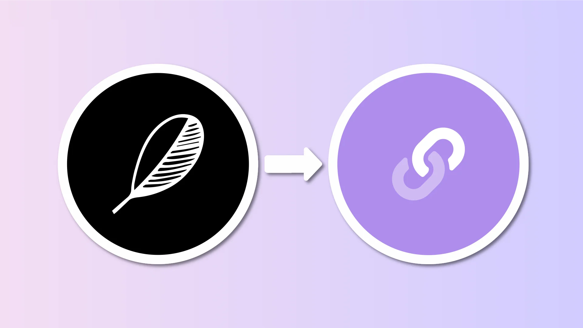 Embed Indify widgets on your Lnk.Bio page