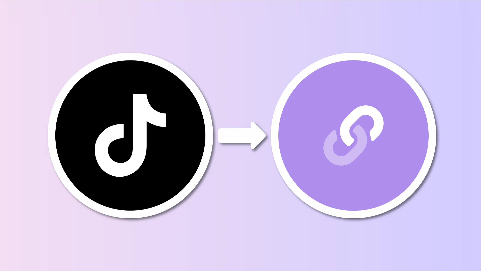 Embed your TikTok profile on your Lnk.Bio page