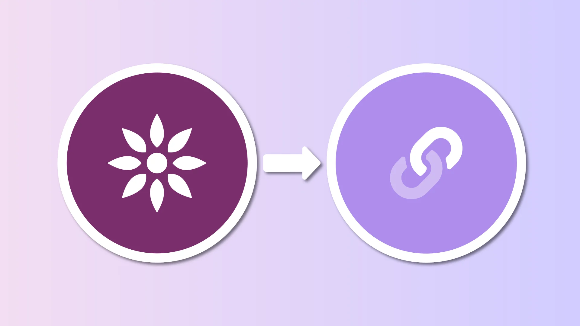 Sync your Lnk.Bio newsletter leads to EmailFig and embed your forms