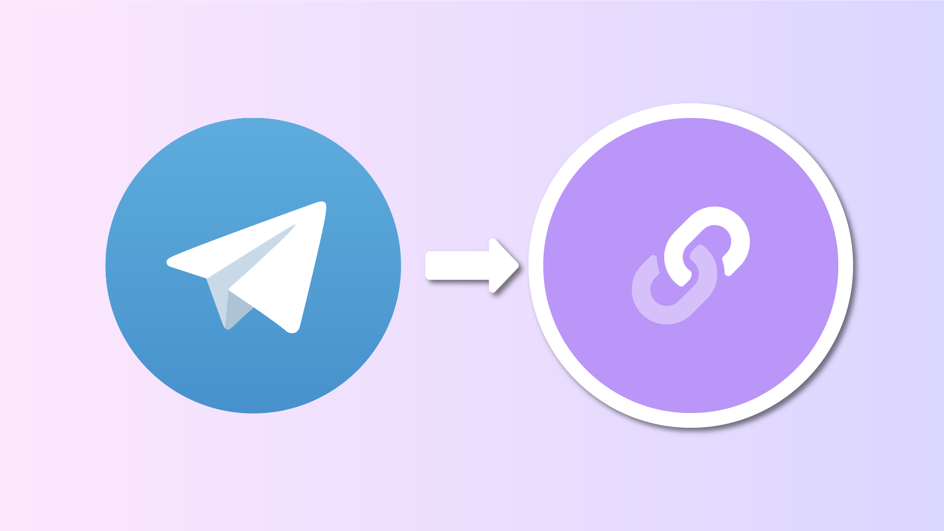 Telegram & link in bio