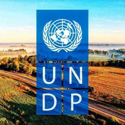 @undpby Profile Picture