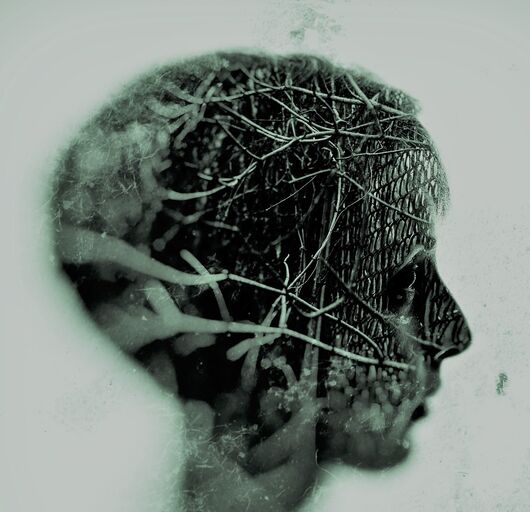@anavada.music Profile Picture