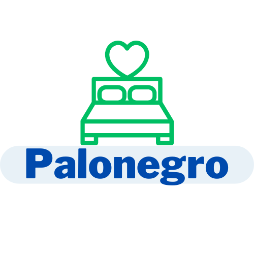 @apto_habitacion_palonegro Profile Picture
