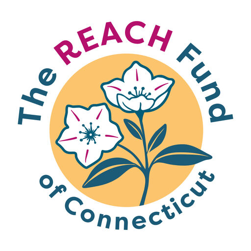 @reachfundct Profile Picture