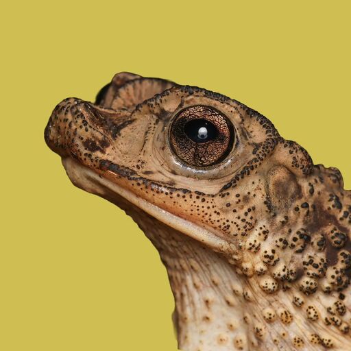 @paralanaturaleza Profile Picture