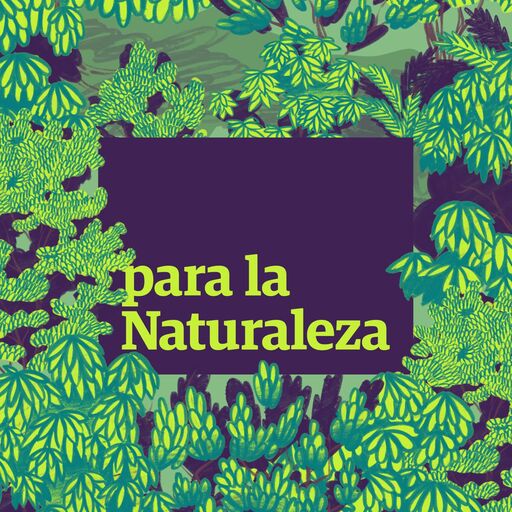 @paralanaturaleza Profile Picture