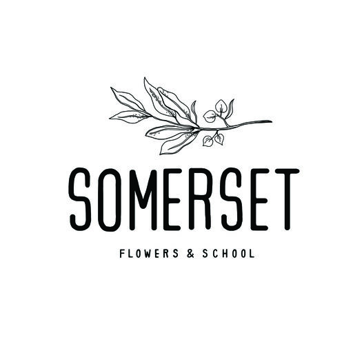 LnkBio profile picture for @somerset