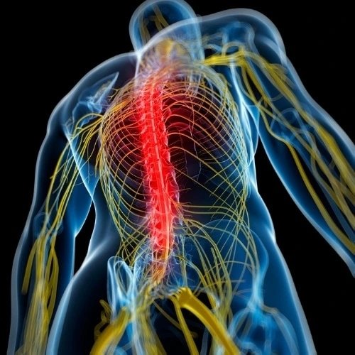 @@endbackpain Profile Picture