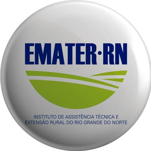 @ematerrn Profile Picture