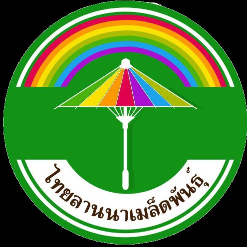 @thailannaseed Profile Picture