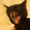 LnkBio profile picture for @corner