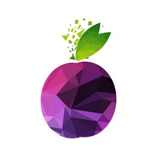 @prune.co.in Profile Picture