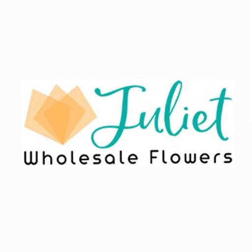 @julietwholesaleflowers Profile Picture