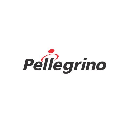 @pellegrinoautopecas Profile Picture