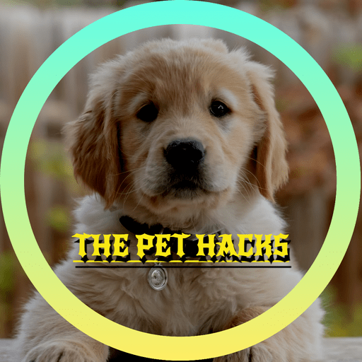 @thepethacks Profile Picture