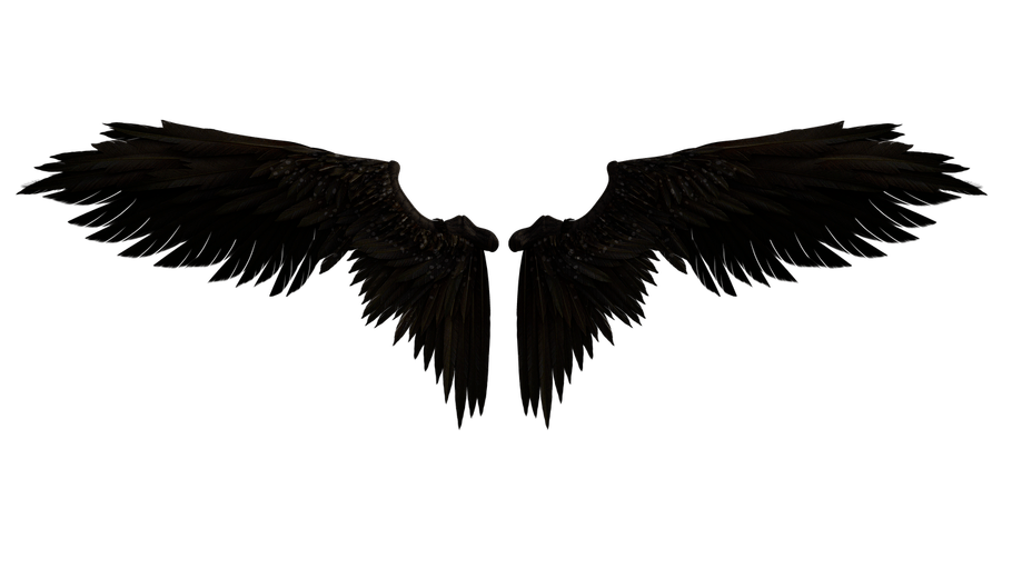 LnkBio profile picture for @disorders