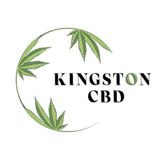 LnkBio profile picture for @kingston