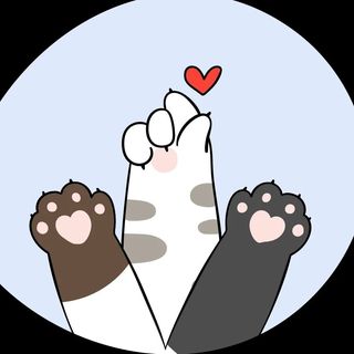 @patinhascomunitarias Profile Picture
