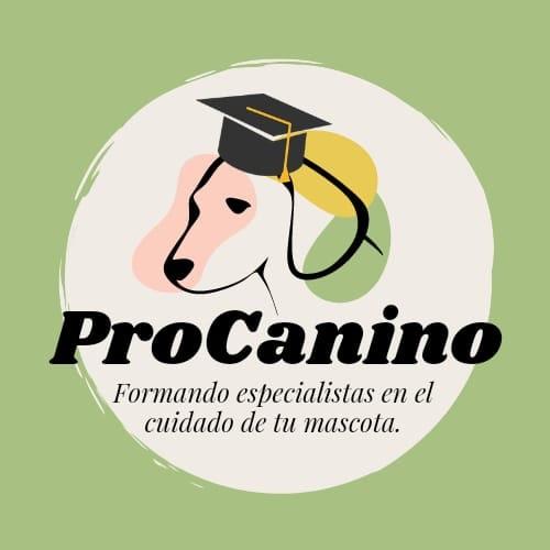@procanino Profile Picture