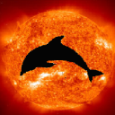 @Solar Dolphin Profile Picture