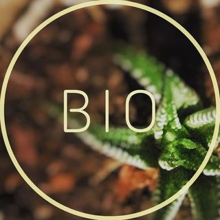 @bio_lz Profile Picture