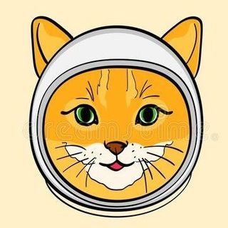 @chaostocosmosuk Profile Picture