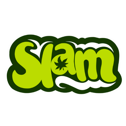 LnkBio profile picture for @slam