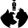 @Clochette.andcie Profile Picture