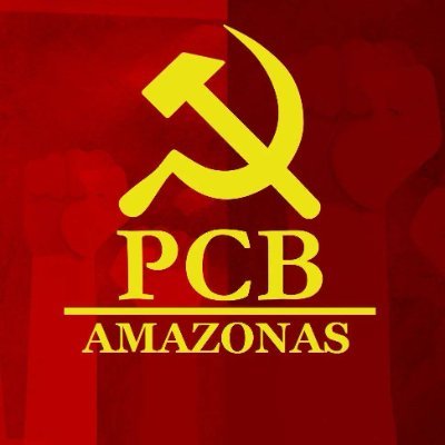@PCBAmazonas Profile Picture