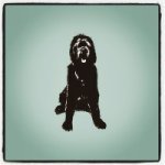 @michaelsmithinc Profile Picture