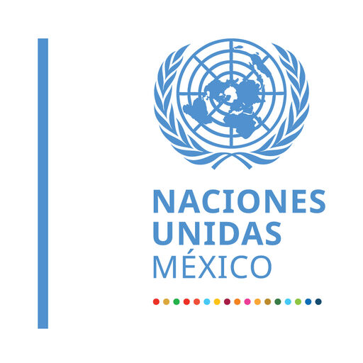 @Sitio Web ONU México Profile Picture