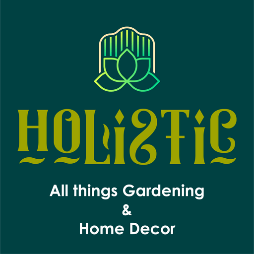 LnkBio profile picture for @holistic