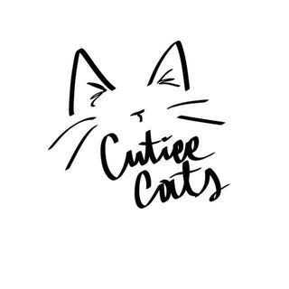 @somos_thecutiee_cat Profile Picture