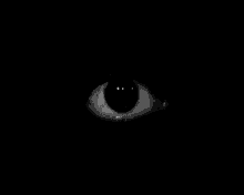 LnkBio profile picture for @skids