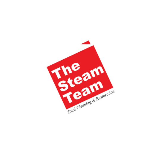 @thesteamteam Profile Picture