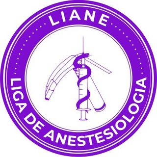 LnkBio profile picture for @liane