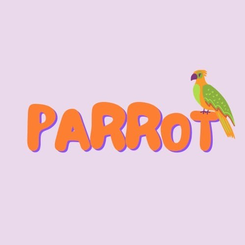@englishwithparrot Profile Picture