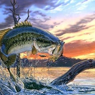 @thebig.catchlures Profile Picture