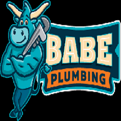 @babeplumbingmn Profile Picture