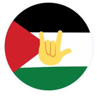 @accesspalestine Profile Picture