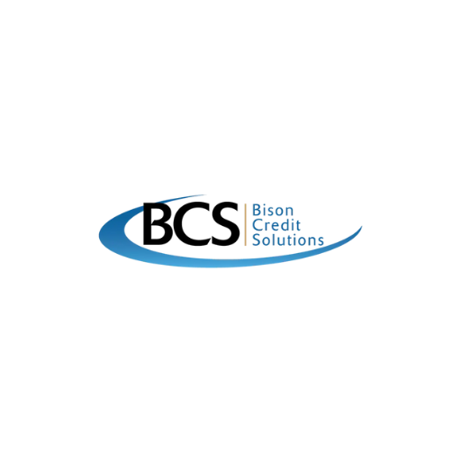 @bisoncreditsolution Profile Picture