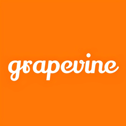 LnkBio profile picture for @grapevine