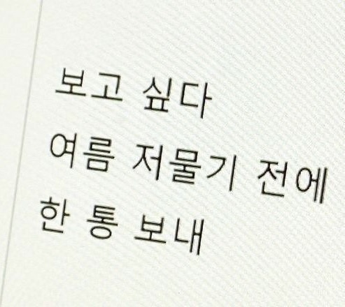 . Lnk.Bio · link in bio