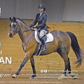 @ferrumcollegeequestrian Profile Picture