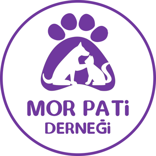 @mor_pati_dernegi Profile Picture