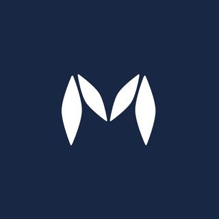 @mapki.pvt Profile Picture