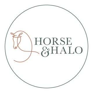 @horseandhalo Profile Picture