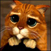 @мой сайт Profile Picture
