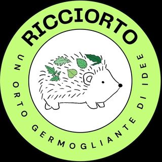 @ricciorto Profile Picture