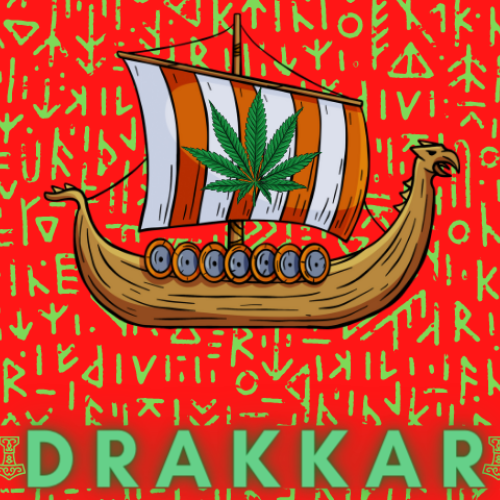 @DRAKKAR Profile Picture